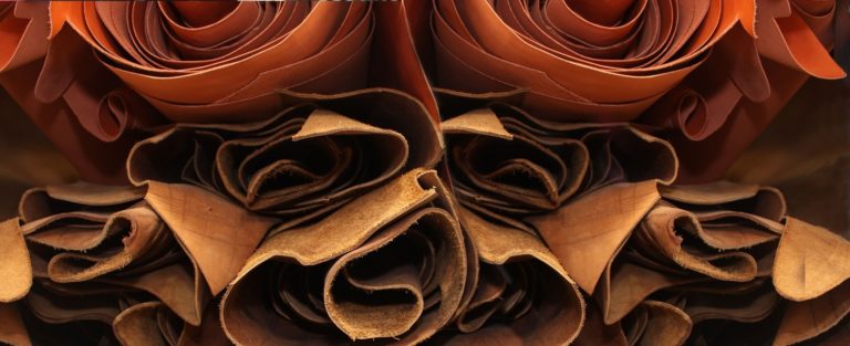 Leder – Überblick und Herstellungsprozess